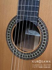 Paco Castillo パコ・カスティージョ 204C 杉・ローズ_3