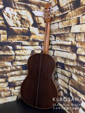 Paco Castillo パコ・カスティージョ 204C 杉・ローズ_4