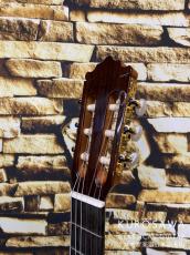 Paco Castillo パコ・カスティージョ 204C 杉・ローズ_8