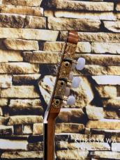 Paco Castillo パコ・カスティージョ 204C 杉・ローズ_9