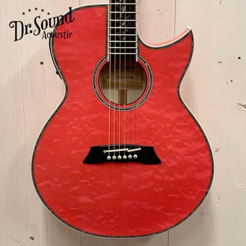 Takamine 2023年製　TSP178AC ~Custom Glass Flower & Full Abalone~ 【無金利分割OK】【送料は当社負担】