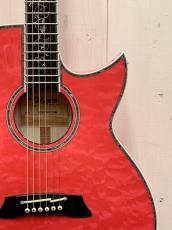 Takamine 2023年製　TSP178AC ~Custom Glass Flower & Full Abalone~ 【無金利分割OK】【送料は当社負担】_3