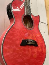 Takamine 2023年製　TSP178AC ~Custom Glass Flower & Full Abalone~ 【無金利分割OK】【送料は当社負担】_4