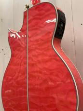 Takamine 2023年製　TSP178AC ~Custom Glass Flower & Full Abalone~ 【無金利分割OK】【送料は当社負担】_9