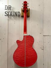 Takamine 2023年製　TDP181AC  ~Custom Quilt  with Abalone~ 【無金利分割OK】【送料は当社負担】_9