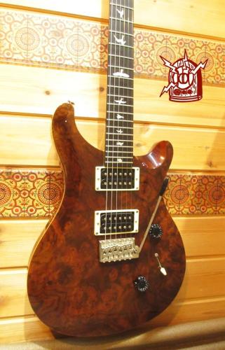 Paul Reed Smith [PRS] SE CUSTOM 24