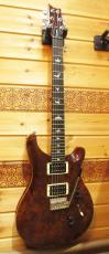 Paul Reed Smith [PRS] SE CUSTOM 24_2
