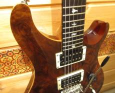 Paul Reed Smith [PRS] SE CUSTOM 24_3