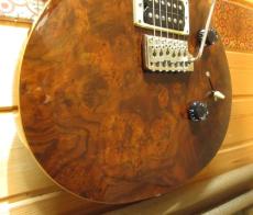 Paul Reed Smith [PRS] SE CUSTOM 24_4