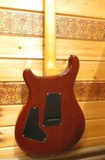 Paul Reed Smith [PRS] SE CUSTOM 24_5