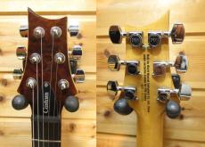 Paul Reed Smith [PRS] SE CUSTOM 24_6