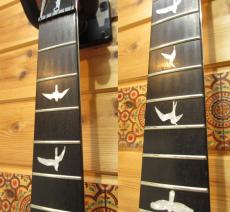 Paul Reed Smith [PRS] SE CUSTOM 24_7