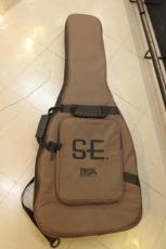 Paul Reed Smith [PRS] SE CUSTOM 24_8