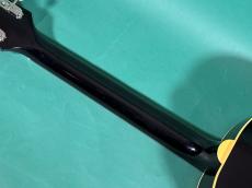 KING SNAKE YUCCA BK _8