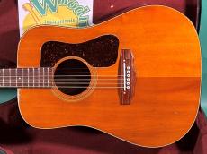 Guild D-25M_2