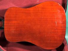 Guild D-25M_3