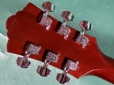 Guild D-25M_6