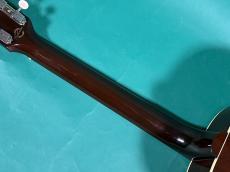 Gibson J-45 The59 Genesis_8