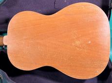 Gibson B-15_3