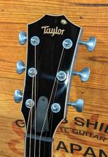 Taylor CTM GA Koi Blue【現地選定材使用のカスタムモデル】【極杢メイプル】_6