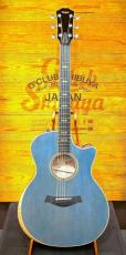 Taylor CTM GA Koi Blue【現地選定材使用のカスタムモデル】【極杢メイプル】_2