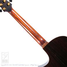 STARSUN R60 (Bear Claw Swiss Moon Spruce)_6