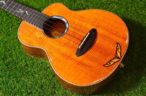aNueNue KYAS WHALE E Tenor
