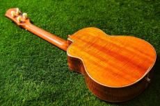 aNueNue KYAS WHALE E Tenor_4