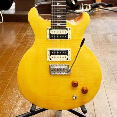 Paul Reed Smith [PRS] SE Santana