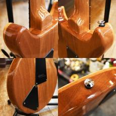 Paul Reed Smith [PRS] SE Santana_3