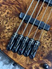 Ibanez MDM1605 - Natural Mocha Low Gloss -【3.91kg】_3