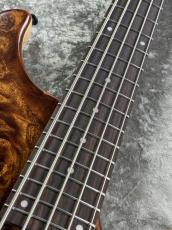 Ibanez MDM1605 - Natural Mocha Low Gloss -【3.91kg】_5