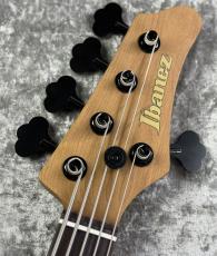 Ibanez MDM1605 - Natural Mocha Low Gloss -【3.91kg】_7