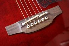 Takamine 【大阪梅田楽器祭セール!11/15まで】DMP551C WR #63090352【最大48回分割無金利・送料当社負担】_3