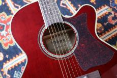 Takamine 【大阪梅田楽器祭セール!11/15まで】DMP551C WR #63090352【最大48回分割無金利・送料当社負担】_4