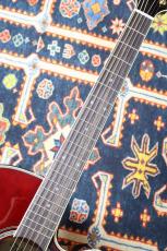 Takamine 【大阪梅田楽器祭セール!11/15まで】DMP551C WR #63090352【最大48回分割無金利・送料当社負担】_5