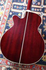 Takamine 【大阪梅田楽器祭セール!11/15まで】DMP551C WR #63090352【最大48回分割無金利・送料当社負担】_9