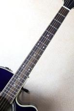 Takamine 【大阪梅田楽器祭セール!11/15まで】DMP552C DBS #63070191【送料当社負担・最大48回分割無金利】_5