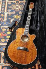 Takamine 【大阪梅田楽器祭セール!11/15まで】TSP178ACK N #63120054 【送料当社負担・最大48回分割無金利】_2