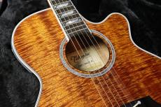 Takamine 【大阪梅田楽器祭セール!11/15まで】TSP178ACK N #63120054 【送料当社負担・最大48回分割無金利】_4