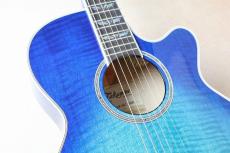 Takamine 【大阪梅田楽器祭セール!11/15まで】FPT181AC SBB #62040487【最大48回分割無金利】_4