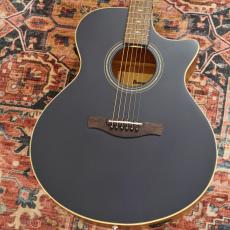 Ibanez AE100-DBF (Dark Tide Blue Flat)【特価】