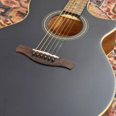 Ibanez AE100-DBF (Dark Tide Blue Flat)【特価】_2