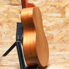 KoAloha KTM-10 Tenor_5