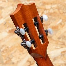 Kamaka HF-3 D2I Tenor 2015_9