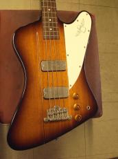 Orville by Gibson Thunderbird (1990)