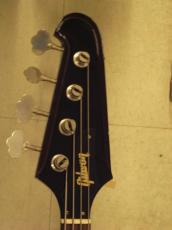 Orville by Gibson Thunderbird (1990)_5