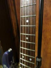 James Tyler Studio Elite HD "Tuckerberry Shmear Finish"_5