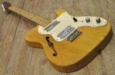 Fender 1976 Telecaster Thinline_12