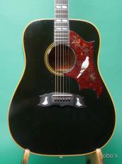 Gibson DOVE